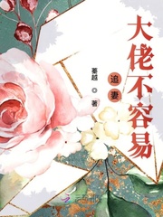 大佬追妻不择手段免费阅读