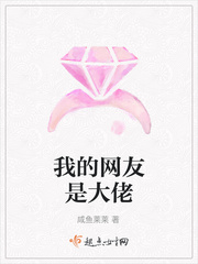 我的网友是大佬免费阅读